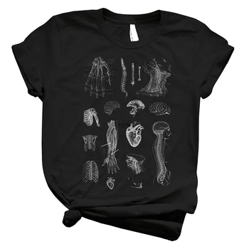 Derliaus Anatomija Spausdinti Mens T Shirts Grafinis Derlius – Geriausias Madinga Moterų Pritaikyti Vaikams Viršų