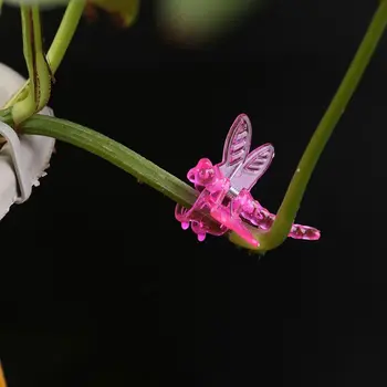 30Pcs Dragonfly Orchidėja Įrašus Orchidėjų Augintojas Paramos Mielas Sodo Augalų Žiedų Vynuogių Paramos Įrašus Lašas laivybos