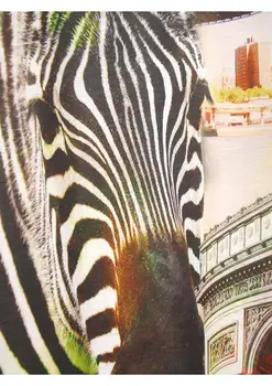 Nuolaidos Naujų Aukštos kokybės moterų naujovė Tees Blusas Viršūnes zebras spausdinti marškinėliai moteriški marškinėliai triumfo arka modelio marškinėlius