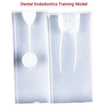 2Styles Dantų Mokymo Blokuoti Endodontics Studentų Mokymo Modelį Praktikos Modelis Odontologija