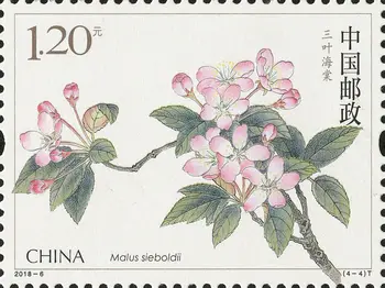 KINIJA Pašto Antspaudas 2018-6 Kinijos Žydėjimo Crabapple Begonia Gėlės 4Pcs Antspaudų Naujas MNH