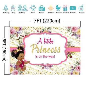 Baby Shower Fonas Šiek tiek Princesė yra Kelyje Nuotrauka Fone Etninės Mažai Princesė, Gėlės Fotografijos Backdrops