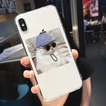 Mielas gyvūnas katė meno dizainas Telefono dėklas Permatomas iPhone 6 7 8 11 12-os mini pro X XS XR MAX Plus