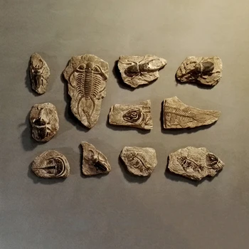 Vabzdžių Pavyzdys Modelis Senovės Jūrų Gyvybės Pakabukas Kambarį Tyrimas Miegamasis Retro Apdailos Kūrybos Sienos Kabo