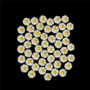 50PCS Daisy Gėlių Flatback Dervos Cabochons užrašų knygelė Amatų 10mm 