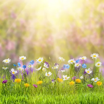 HUAYI Gėlės Fotografijos Fone Naujagimių fone pavasario fone D9573