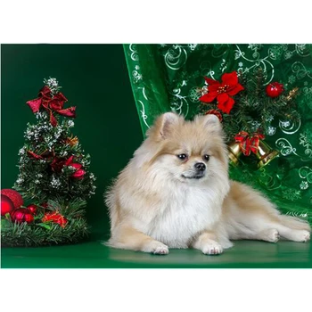 Spitz Šuo Kalėdų eglutė Gyvūnų Visiškai kalnų krištolas, Deimantas Siuvinėjimo Šuo modelis 5D 