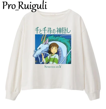 Spirited Away Nigihayami Kohakunushi Šilumos perdavimas iš Animacinių filmų Lyginimo Lipdukai Juostele Ant Drabužių Geležies Lopai T-shirt